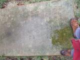 image of grave number 290534